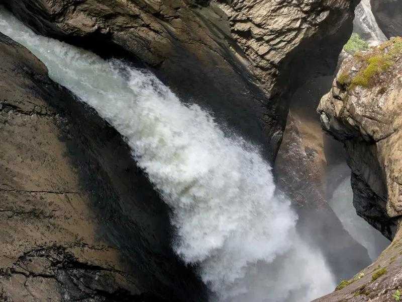 اكتشف جمال سويسرا مع شركة FSO للسياحة: رحلة بين شلالات تروميل باخ وإنترلاكن