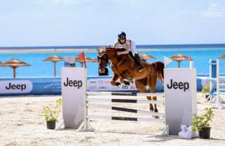”Jeep”و ”Alfa Romeo”  ترعيان بطولة ”كأس مصر للفروسية 2026” فى ”سوما باى” وتعرض طرازاتهما المميزة
