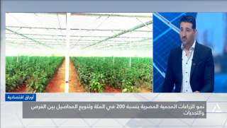 مدير مزارع مكادي للاستثمار الزراعي: تطبيقات الذكاء الاصطناعى طورت أداء قطاع الزراعات المحمية المصرية