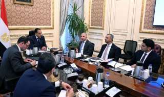 ”عز العرب - السويدى للاستثمارات” تؤكد خططها لتعزيز صناعة السيارات فى مصر باستثمارات جديدة وشراكات عالمية