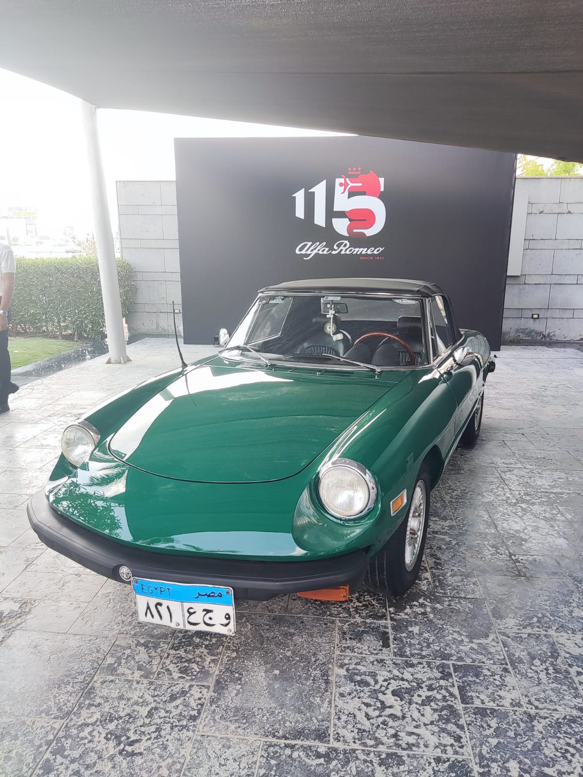 8fc35500fdef.jpg