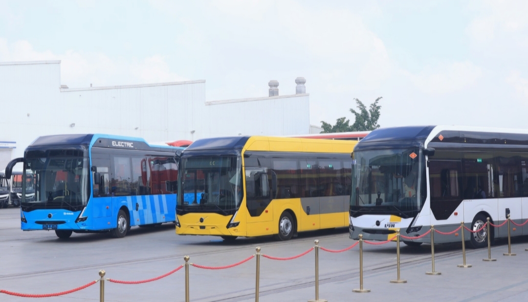 7d7a721526af.jpg
